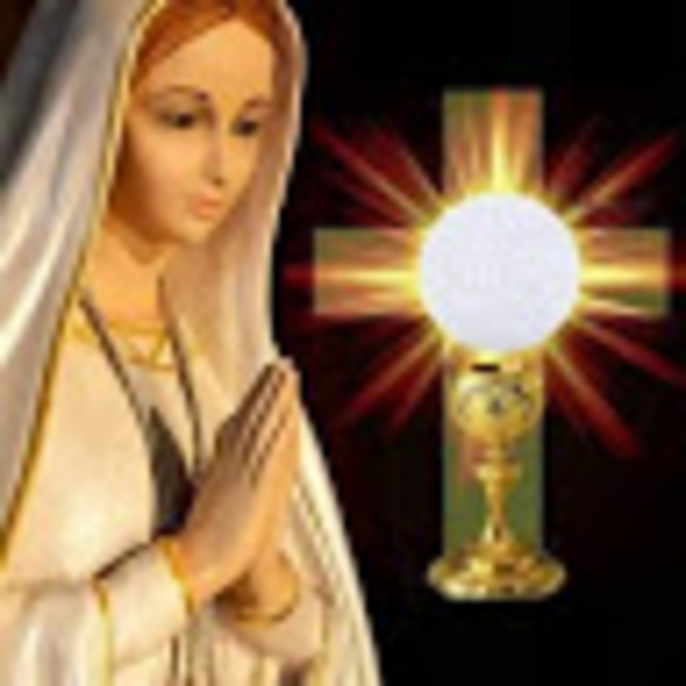 Meet your Posher, Adaku